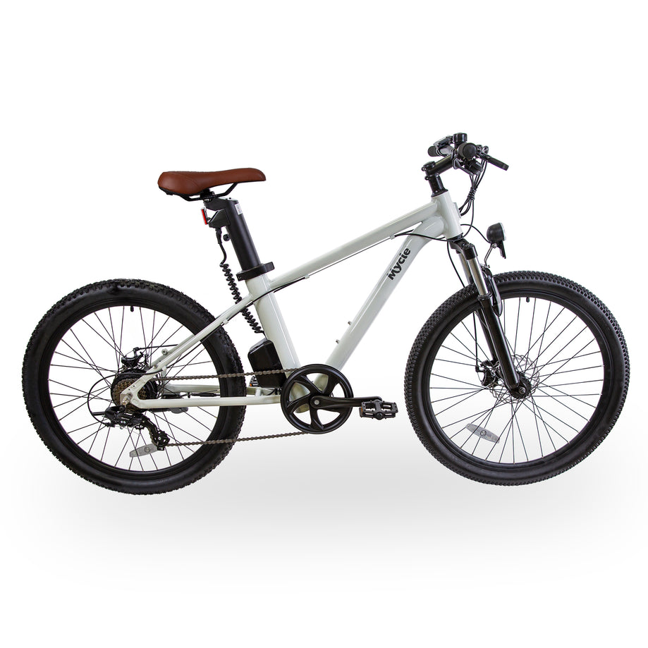 Climber Electric Hardtail Mountain Bike